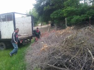 brush removal by Affordable Hauling